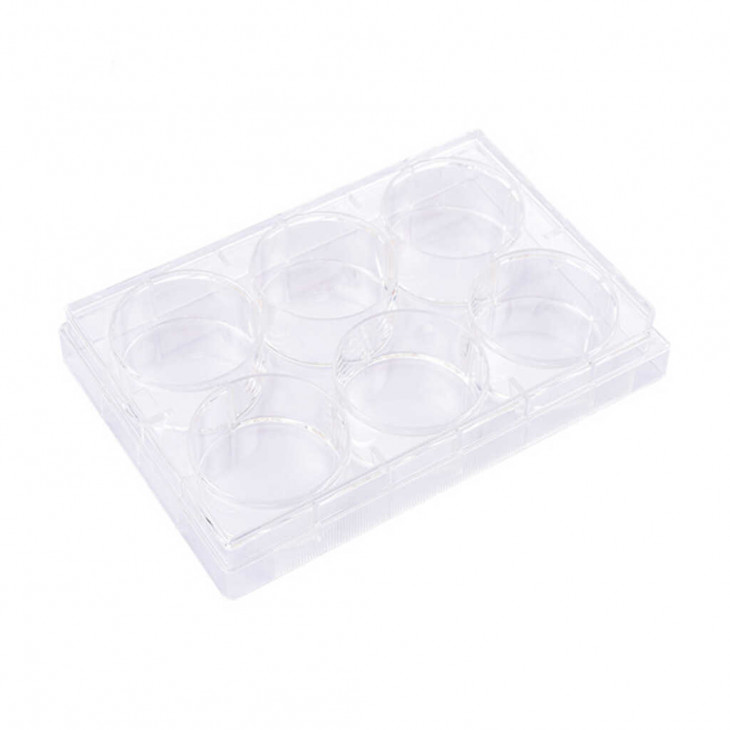 PLAQUE CULTURE CELLULAIRE 6 PUITS STERILE TRAITEE FOND PLAT PACK X50