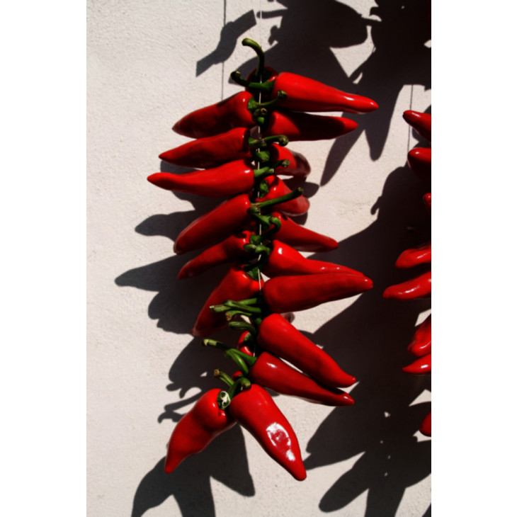 PIMENT D'ESPELETTE AOC EN POUDRE - SACHET DE 1 KG