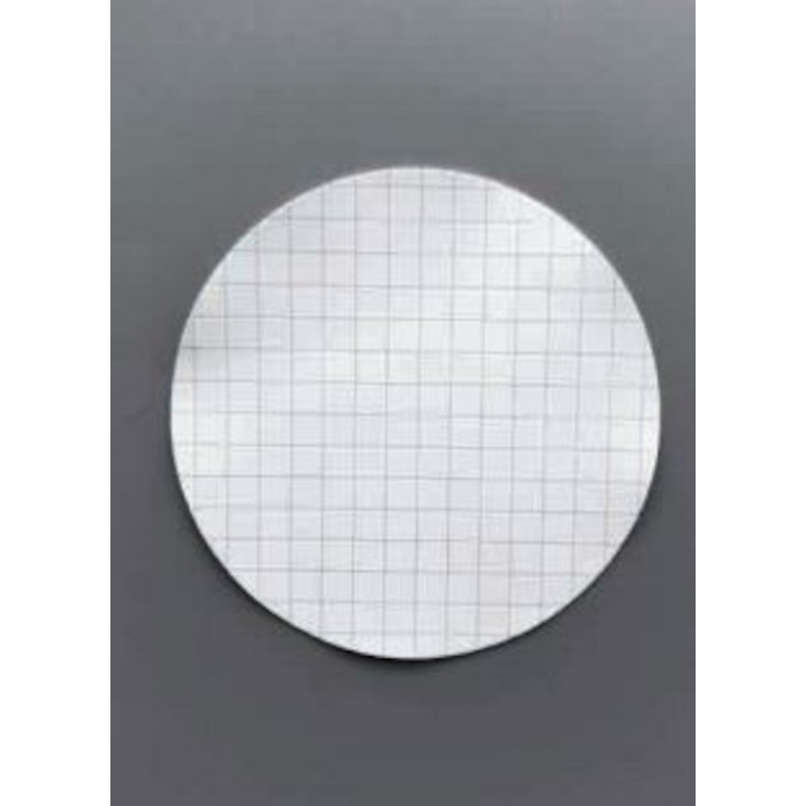 MEMBRANES MCE STERILE BLANC/ NOIR P.0.45UM D.47MM - X100