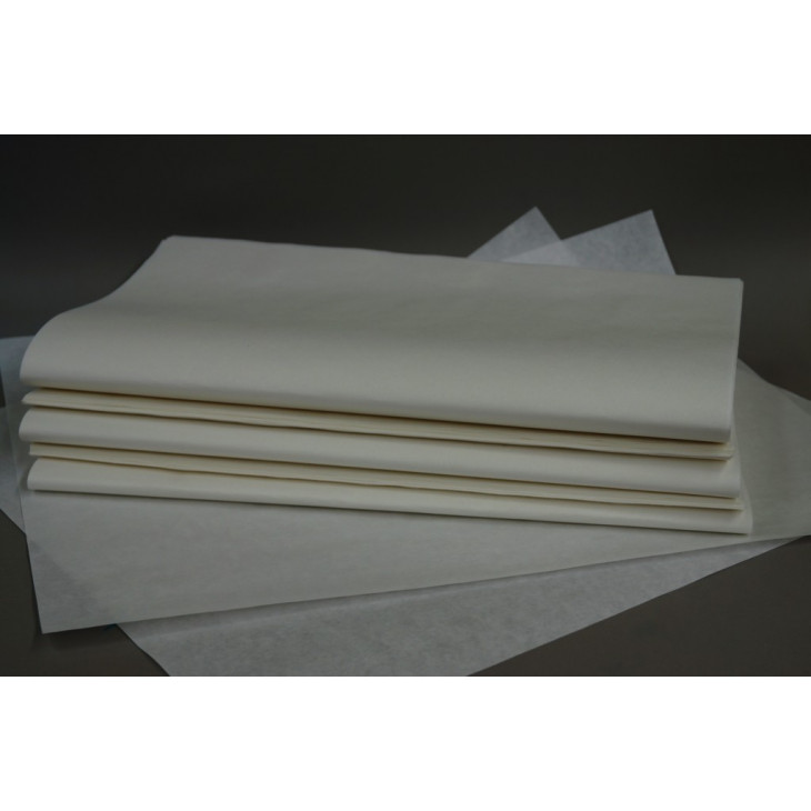 Filtre à cartouche en papier plissé HEPA MAXIMUM VKHF001 pour aspirateur  d'atelier de déchets secs/humides MAXIMUM de 30 L, paq. 4