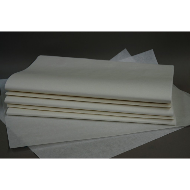 PAPIER FILTRE STANDARD LISSE GRADE 600 460X570MM -PACK X100