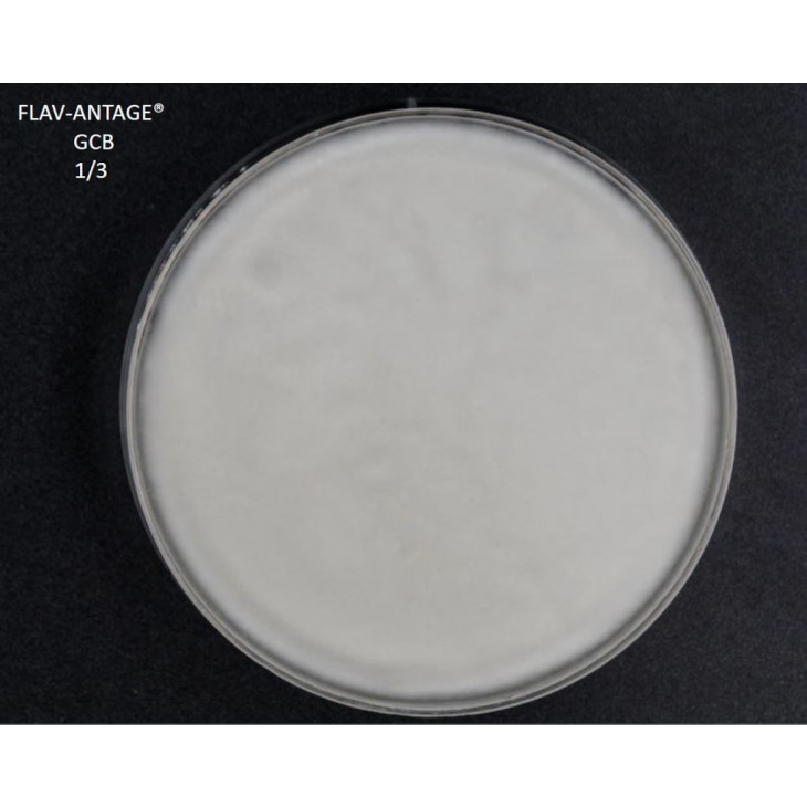 FLAV-ANTAGE GCB 10D-LE SACHET