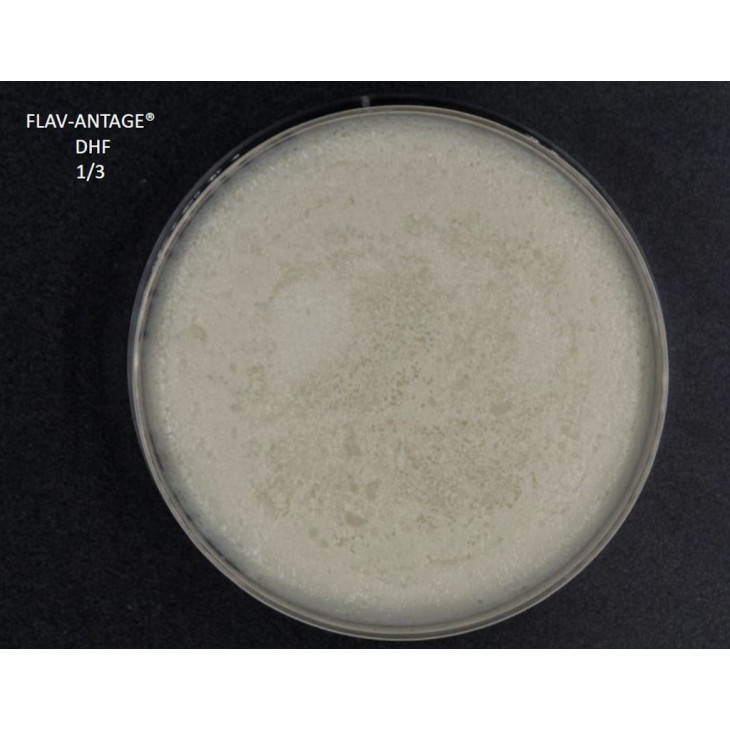 FLAV-ANTAGE DHF 10D-LE SACHET