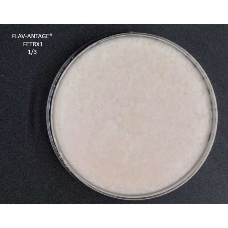 FLAV-ANTAGE FETRX 1 LYO 10D-LE SACHET