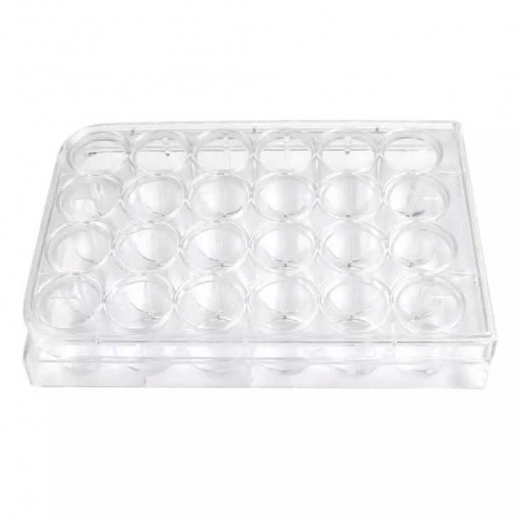 PLAQUE CULTURE CELLULAIRE 24 PUITS STERILE NON TR. FOND PLAT PACK X50