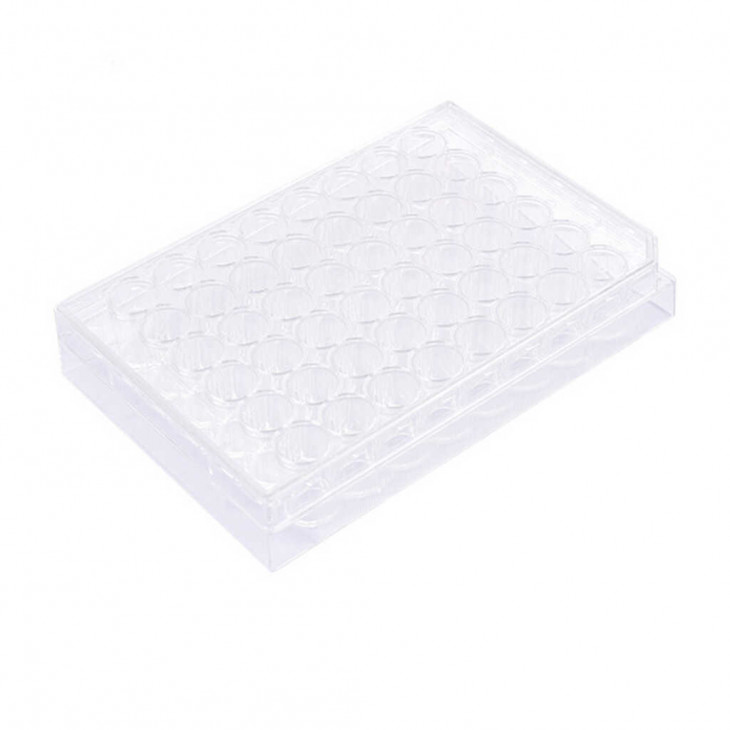 PLAQUE CULTURE CELLULAIRE 48 PUITS STERILE NON TR. FOND PLAT PACK X50