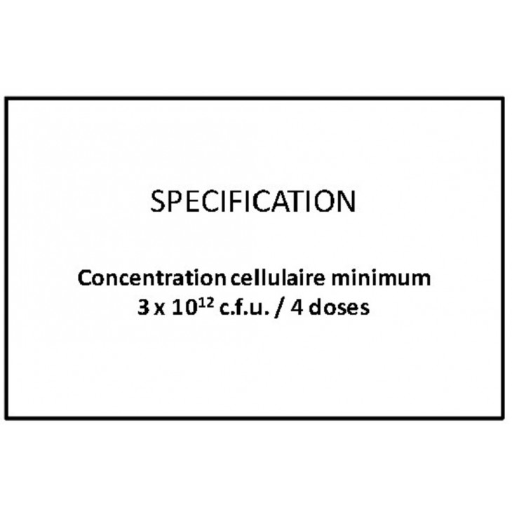 CASEI - 4D-PACK DE 50 SACHETS