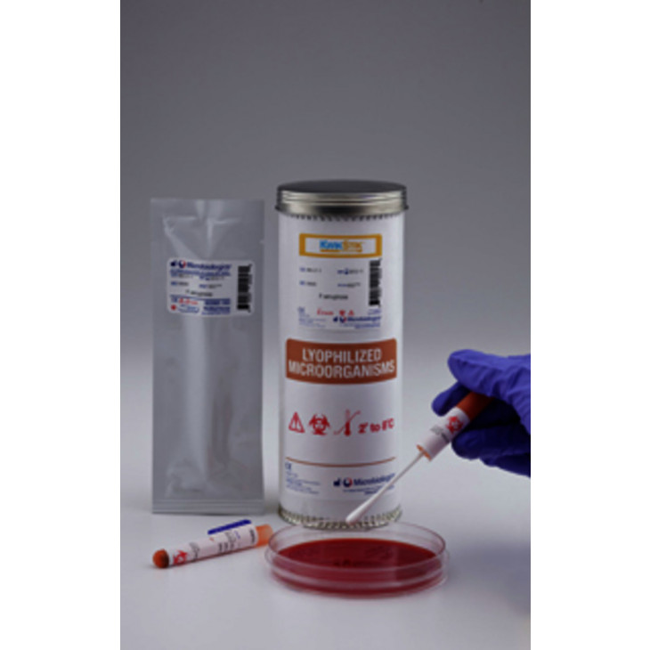 KWIK-STIK PSEUDO. FLUORESCENS ATCC13525TM-2 ECOUV.