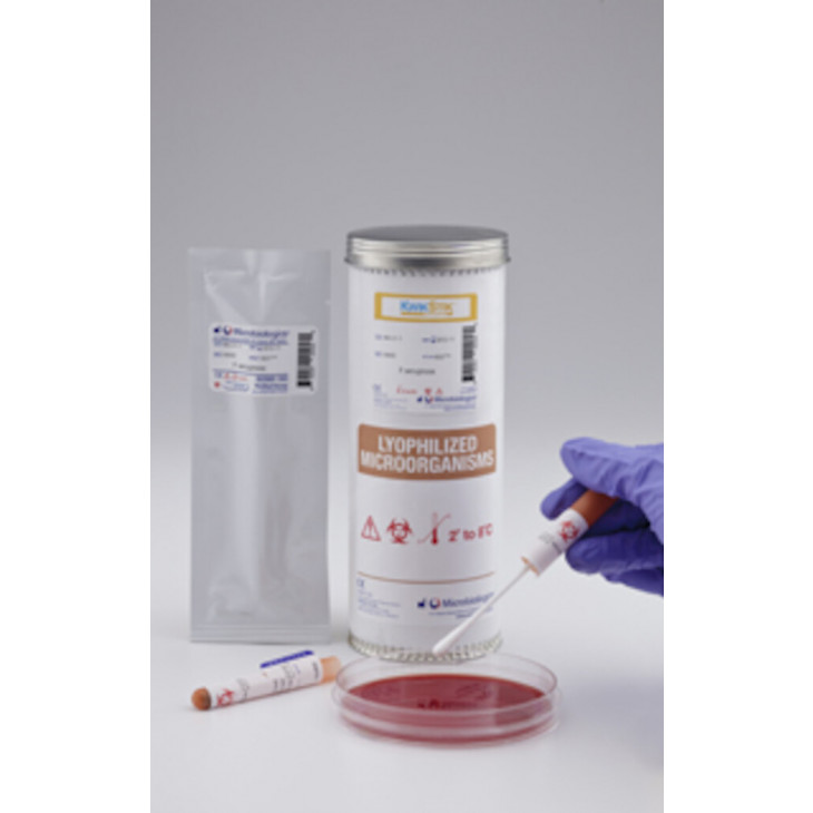 KWIK-STIK ENTEROCOCCUS FAECIUM ATCC6569TM-2 ECOUV.