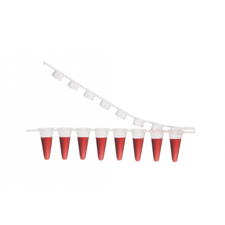BARRETTE DE 8 TUBES DE PCR DE 0,1ML + BOUCHON PLAT - X120