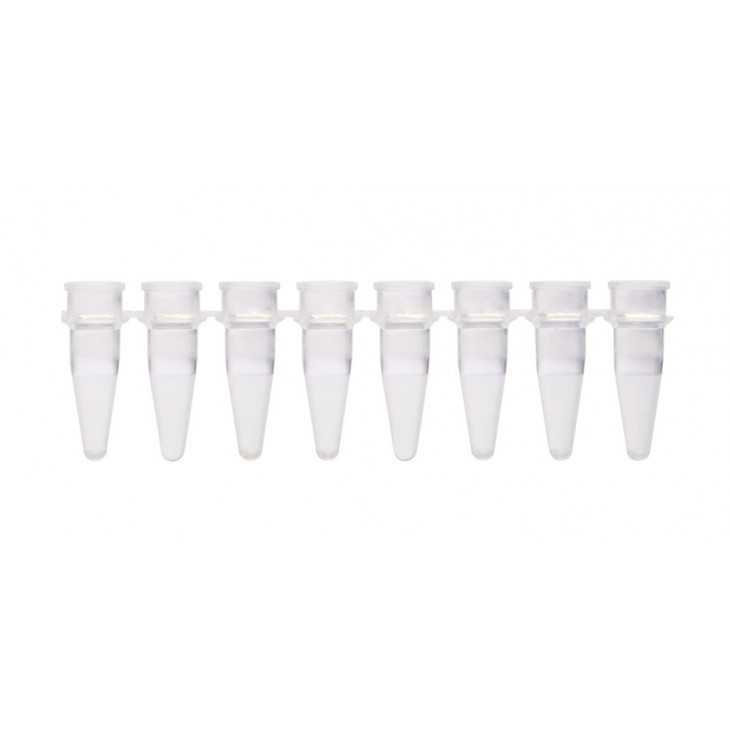 BARRETTE DE 8 TUBES DE PCR DE 0,2ML SANS BOUCHON - X125