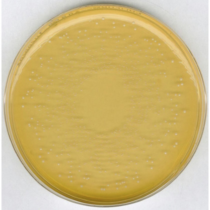 VRBL GELOSE MERCK 1406-500G
