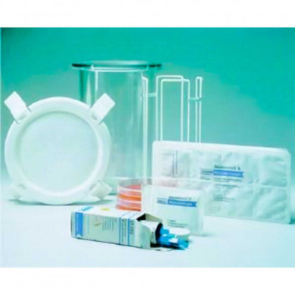 ANAEROTEST 32370 50 BANDELETTES