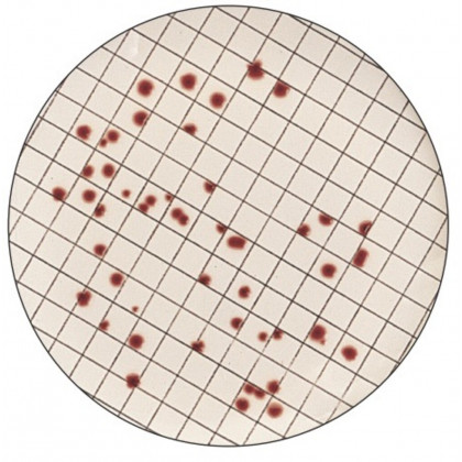 ENTEROCOCCUS M GELOSE BD 274620-500G