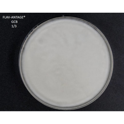 FLAV-ANTAGE GCB 10D-LE SACHET