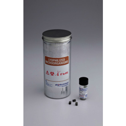 LYFO DISK STAPH. EPIDERMIDIS ATCC 12228TM-6 PAST.