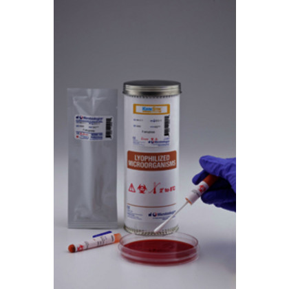 KWIK-STIK PSEUDO. PARAERUGINOSA ATCC9027TM-6 ECOUV.