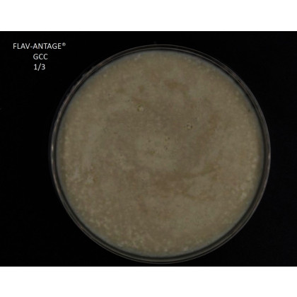FLAV-ANTAGE GCC 2D PACK X25 SACHETS