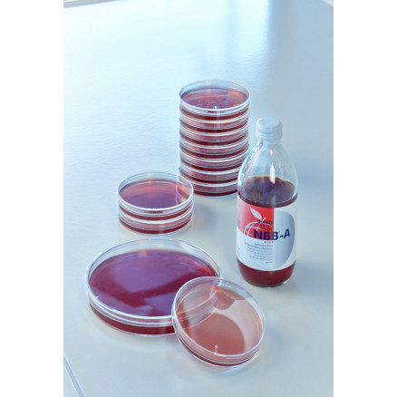 NBB-AGAR (NBB-A) 9X 250ML FLACONS VERRE