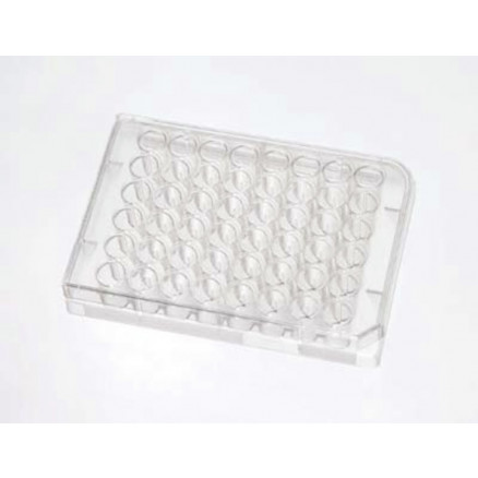 MICROPLAQUE 48 PUITS ET BOITE MULTI-PUITS BIOLITE - X50