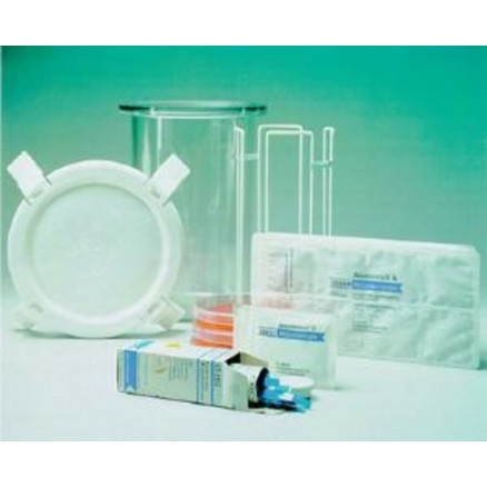 ANAEROTEST 32370 50 BANDELETTES
