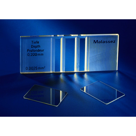 CELLULE DE MALASSEZ DOUBLE