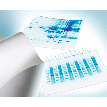 MEMBRANE EN PVDF IMMOBILON-P P.0,45UM D.20X20CM - PACK 10