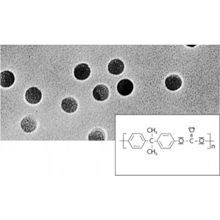 MEMBRANES SARTORIUS EN POLYCAR BONATE P.0,2UM D.25MM - P.100