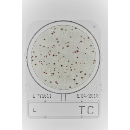 COMPACT DRY TC (FLORE TOTALE) SACHET DE 4 BOITES