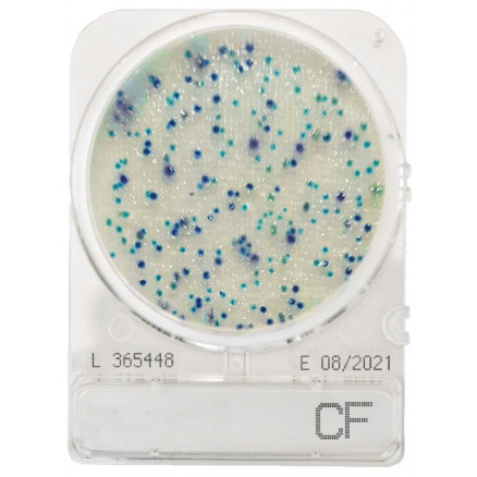 COMPACT DRY CF (COLIFORMES) SACHET DE 4 BOITES
