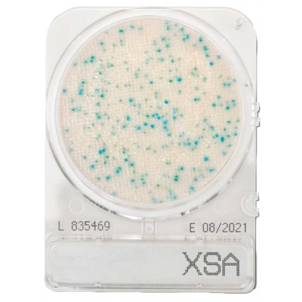 COMPACT DRY XSA (STAPH.AUREUS) SACHET DE 4 BOITES