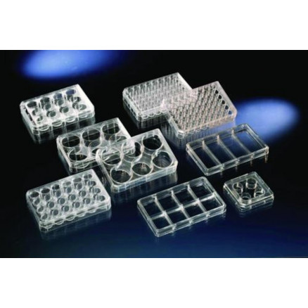 MICROPLAQUE 24 PUITS NUNC TRAITEES S/S.U - PACK X75