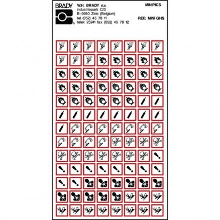 MINI PICTOGRAMMES MIXTES BRADY GHS-10X10/104