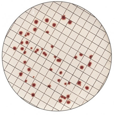 ENTEROCOCCUS M GELOSE BD 274620-500G