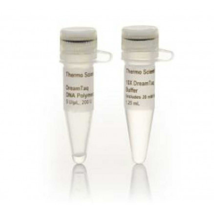 DREAMTAQ DNA POLYMERASE 5U/UL PACK DE 500