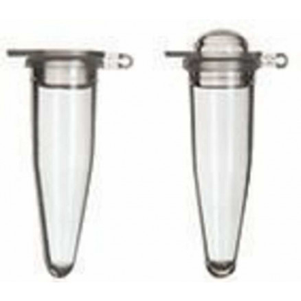 MICROTUBE EN PP NATUREL POUR PCR 0,2ML AVEC BCH PAR 1000