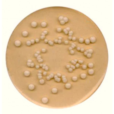 POTATO DEXTROSE AGAR SIGMA P2182 - 250G