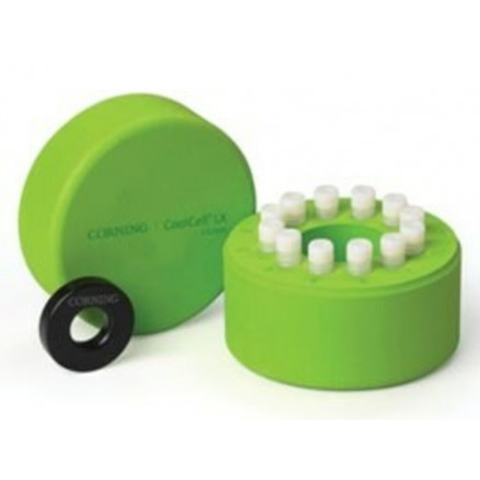 PORTOIR REFRIGERE EN PE VERT POUR 12 CRYOTUBES