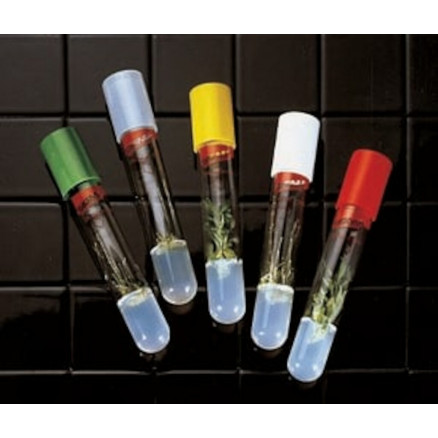 Tubes à essai plastique 10cm - Matériel labo/Flacons, tubes et éprouvettes  - Maunakea
