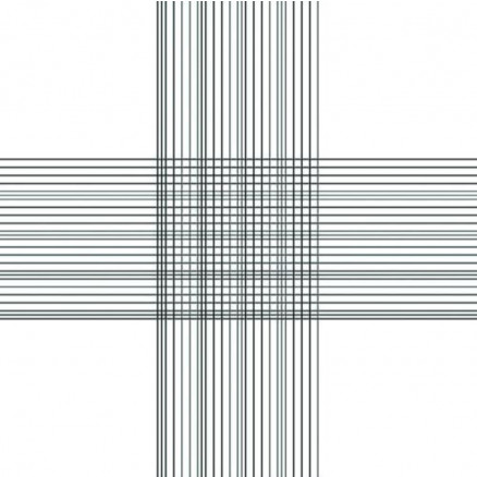 CELLULE DE NUMERATION THOMA DOUBLE AVEC PINCES