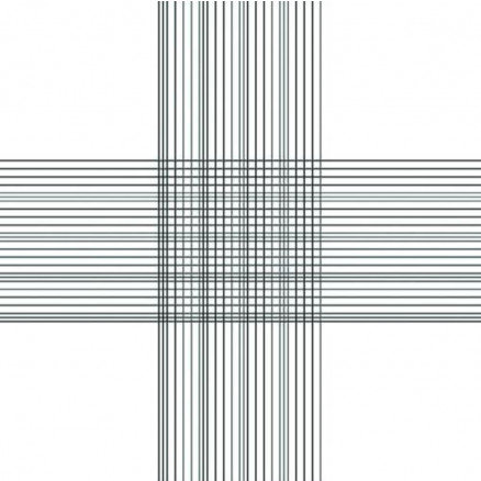 CELLULE DE NUMERATION THOMA DOUBLE AVEC PINCES