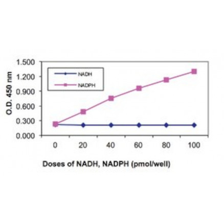 NADP/NADPH QUANTITATION KIT SIGMA MAK038 - 1KT