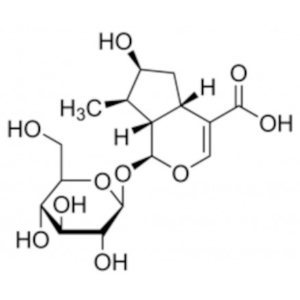 LOGANIC ACIDE >95% SIGMA SMB00231 - 1MG