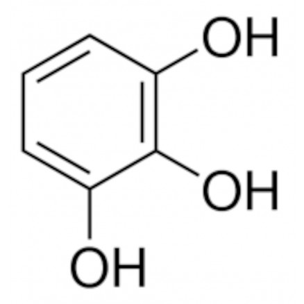 PYROGALLOL HPLC >98% P0381 - 500G