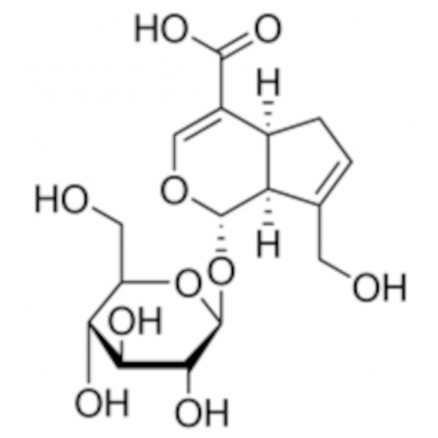 ACIDE GENIPOSIDIQUE HPLC >98% SIGMA SMB00441 - 5MG
