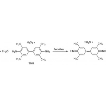 3,3',5,5' TETRAMETHYLBENZIDINE SIGMA T0565 - 100ML