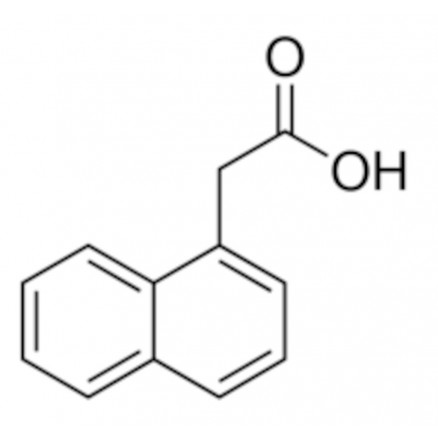 1-NAPHTHALENEACETIC ACIDE SIGMA N0640 - 100G