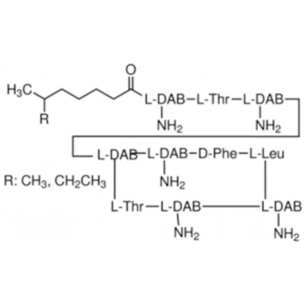 POLYMYXINE B SULFATE SIGMA P1004 - 10MU
