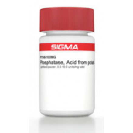 ACIDE PHOSPHATASE 3-10U / MG SIGMA P1146 - 1KU