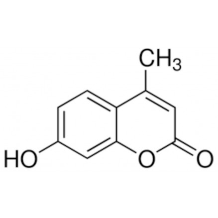 4-METHYLUMBELLIFERONE >98% SIGMA M1381 - 25G